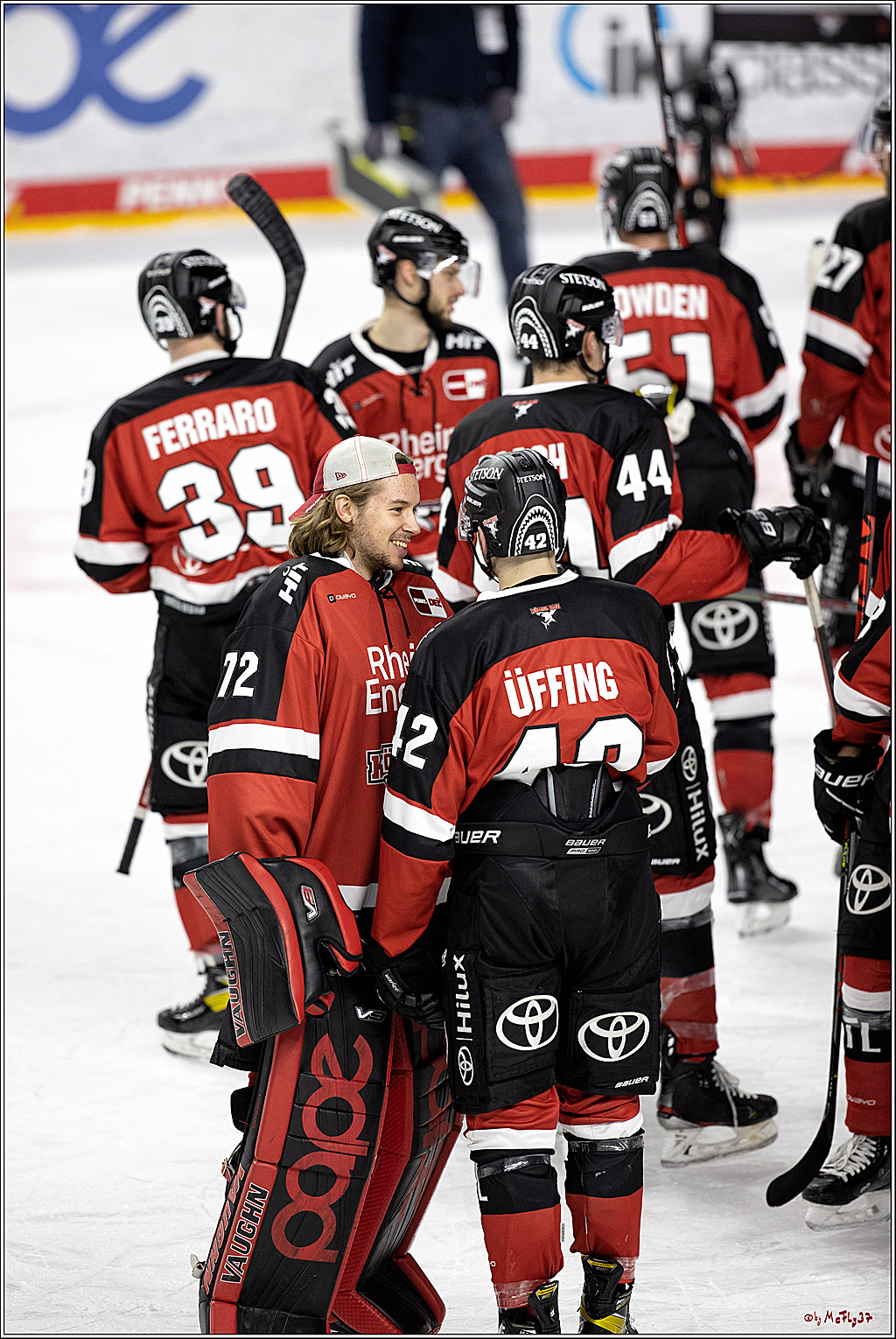 PENNY DEL;  Koelner Haie - Nuernberg Ice Tigers; Koeln, 03.12.2021